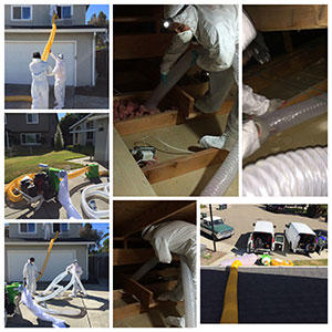 insulation installation, bay area, oakland, san leandro, hayward, castro valley, insulation removal, replace